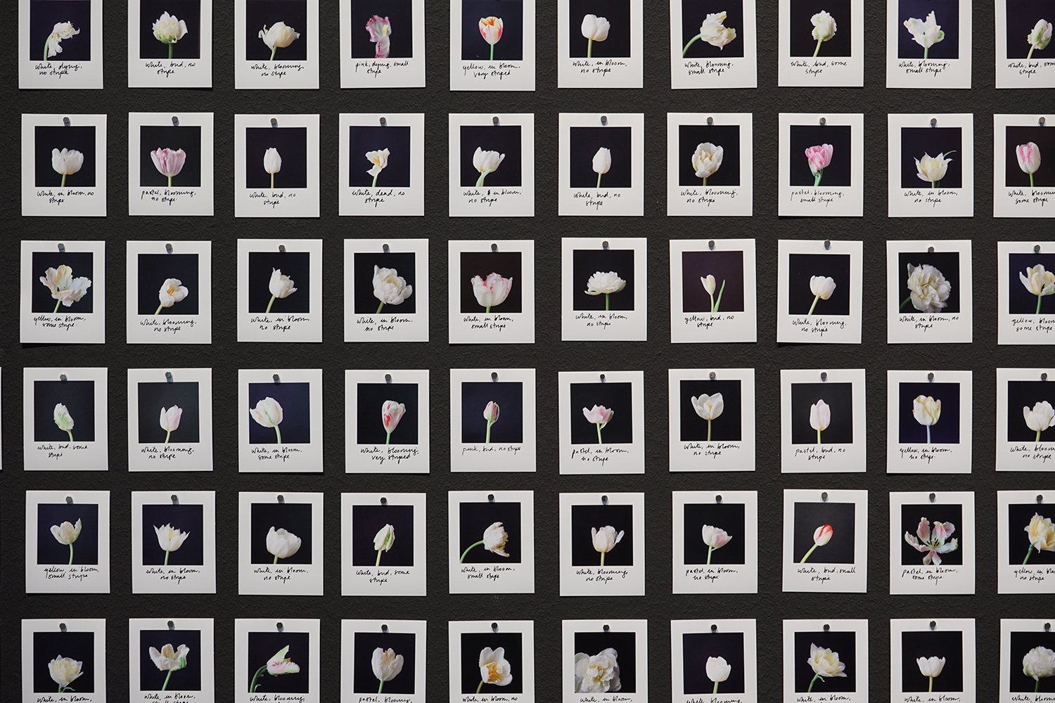 Early AI Art from Bloemenveiling Dataset